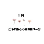 🍓ご予約No.⑰様専用ページ🍓
