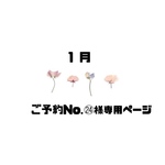 🍓ご予約No.㉔様専用ページ🍓