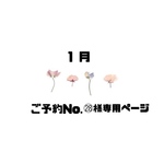 🍓ご予約No.㉘様専用ページ🍓