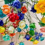 薔薇ドライフラワー　カラフル　ハーバリウム花材