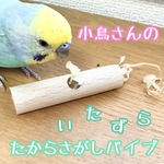 小鳥さんのいたずらパイプ★インコ★文鳥★おもちゃ★バードトイ★フォージング★アスレチック★バードジム★ハンドメイド
