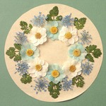 押し花セットE＜組み立ての花＆レースフラワー他＞