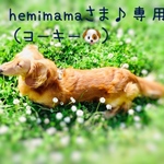 hemimamaさま♪専用（ヨーキー）