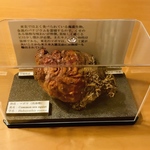 海の生物標本36  マボヤ