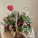 春ギフト バスケットにおまかせ② ☆ プランツギャザリング ☆ 寄せ植え