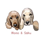 ▷かろりん☺︎専用