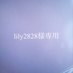 lily2828様専用