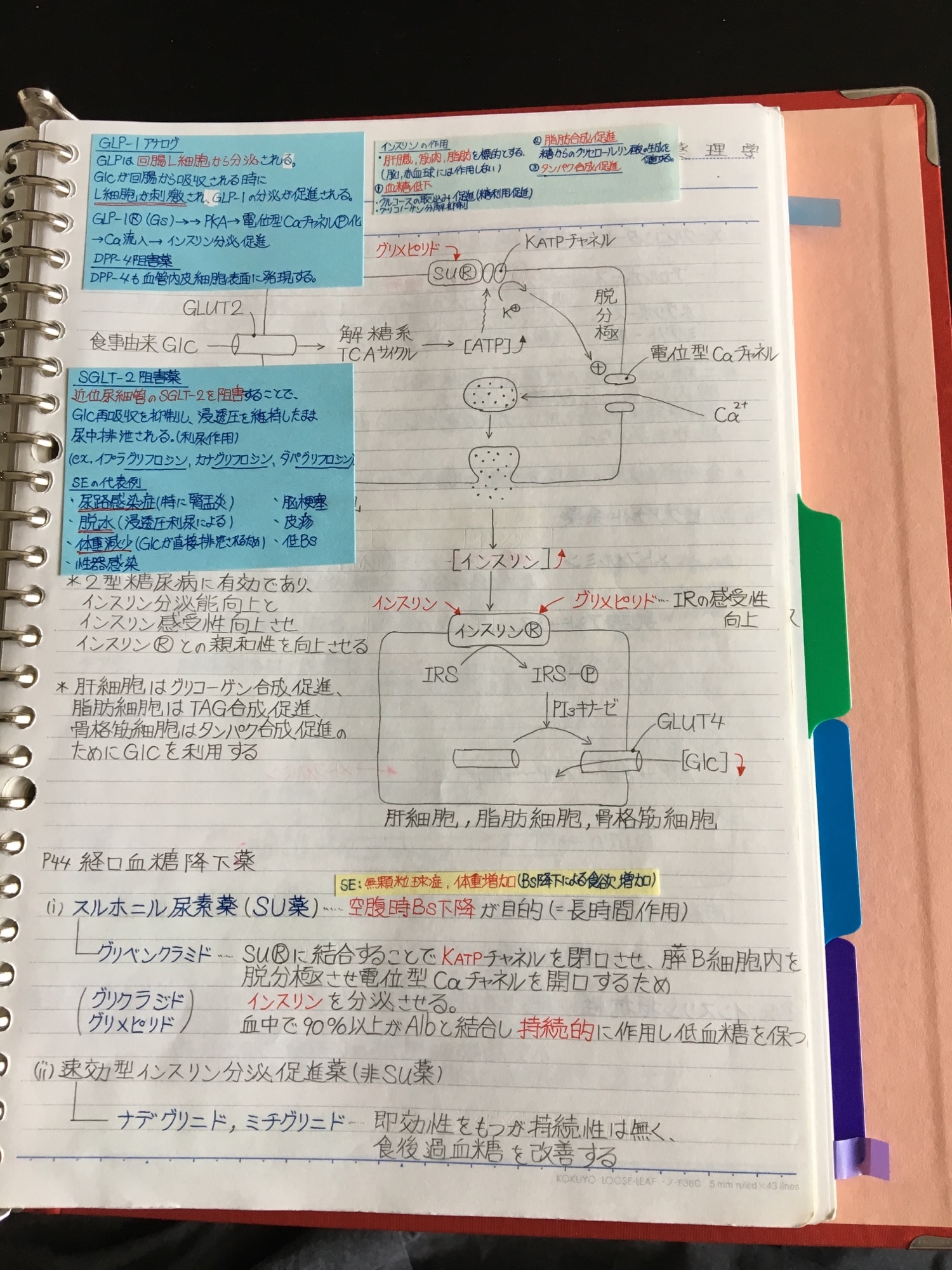 【Vol.3】看護師国家試験まとめノート（精神・呼吸器疾患・循環器疾患等） 看護師国家試験、准看護師、看護学科定期試験対策シリーズ【循環