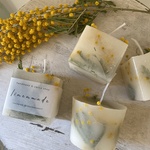 ”new”law  aroma candle ＊mimosa  