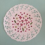 押し花素材404　ミニミニセット　ルビー色