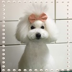 🎀2個セットお嬢様風トップノットリボン🎀