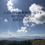 じゅんぺい様専用ページ❣️マスクカバー