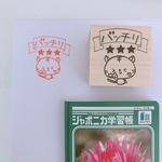  【先生必見】3cm先生必見シリーズ☆バッチリねこたん