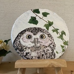 動物の絵
