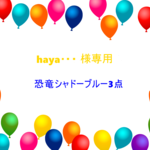 haya・・専用　　入園入学新学期準備　恐竜シャドー3点
