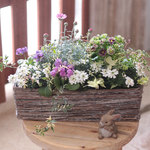 春のお花のバスケット寄せ植え　横長バスケット