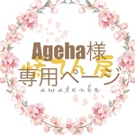 Ageha様専用ページ