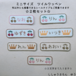 ［２枚セット　ミニサイズ］さくらんぼとクラウンのお名前ワッペン（ツイル）