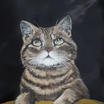 【19ー35様専用】背負えるエコバッグ、目力猫ちゃん