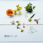 専用ページ