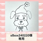sfbox240220様専用