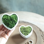 MossなValentine❤︎