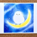 ポストカード　夜空のシマエナガさん