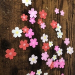 クラフトパンチフレークシール桜
