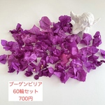 ドライフラワー　ブーゲンビリア　60個セット　花材