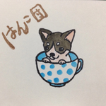 ティーカップチワワ