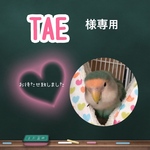 TAEさんオーダー足元ふんわり⛺️