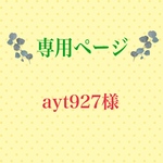 こちらは専用ページとなります