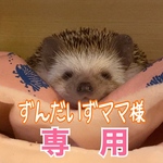 こちらはずんだいずママ様専用