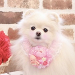 バレンタイン💝デコ盛りロゼットチョーカー🎀パステルピンク💖キューピー