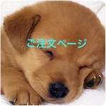 chibita様  ご注文品 