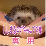 こちらはししまるゆずちゃんママ様専用