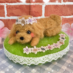 🌼🌼お花いっぱい🌼🌼🌼トイプードルちゃん🌼🌼