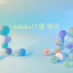 <専用>〜kohaku13様〜他の方はご遠慮下さい。