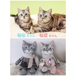 【オーダー様専用】うちの子♥猫人形  ぬいぐるみ