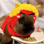 ウサギの被り物✨赤鬼
