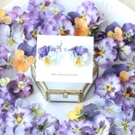 YOU made⚮̈ビオラ 耳飾り《purple×White》ネジバネイヤリング 