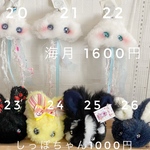 えみシャチ様専用ページ