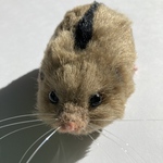 ニホンヤマネのくっつきぬいぐるみ｛5｝