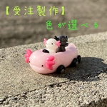 【受注製作】色が選べるウーパールーパーの小型バス