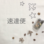速達便