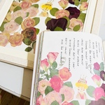 押し花　額　よみきかせおはなし絵本２「ねむりひめ」（成美堂刊）挿絵「王子様」