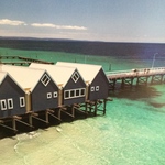 roseogi0722様専用ページ