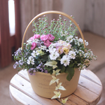 春のお花のふんわり寄せ植え①