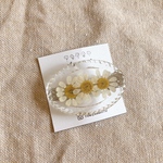 Matricaria clear hair clip/ドライフラワー レジン