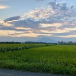 miharu様専用ページです。